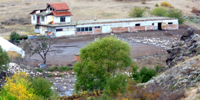 Електрифицират оранжерийния комплекс край село Татарево