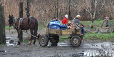 В Стамболово ще конфискуват каруци на задържани за кражби