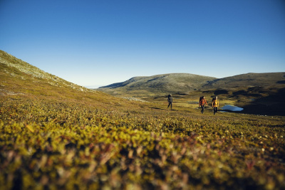 Fjällräven отново е най-устойчива марка в своята индустрия според Индекс за устойчива марка 2021 г. Швеция