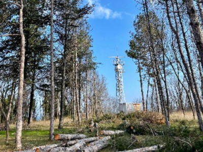 Община Царево с позиция за сеч в парк Морска градина