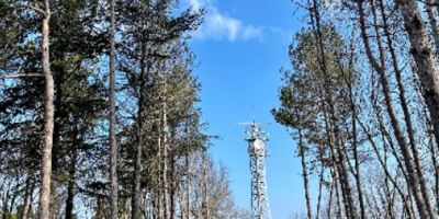 Община Царево с позиция за сеч в парк Морска градина