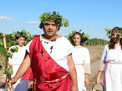 Празник на минералната вода предстои в община Минерални бани