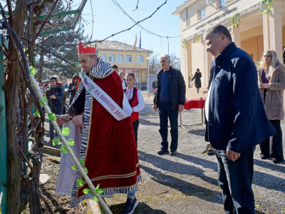 Празникът на виното в Скалица става все по-мащабен