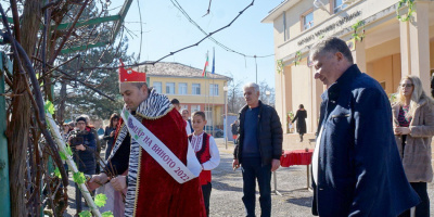 Празникът на виното в Скалица става все по-мащабен