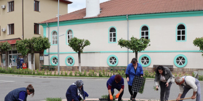 Пролетно зацветяване извършват в община Ардино