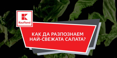 Kaufland: Българската къдрава маруля е най-предпочитана от всички зелени салати