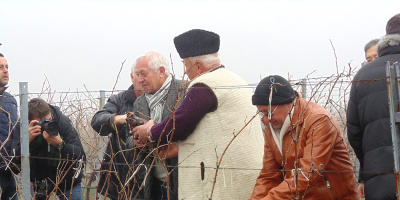 Празник на лозаря и винаря организират в Минерални бани