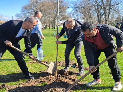 Засаждаха дръвчета в Кукорево